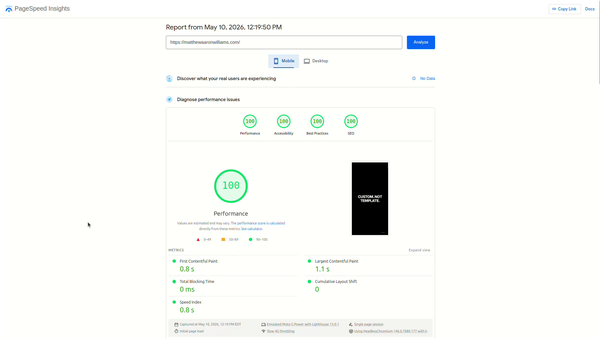 Google PageSpeed Insights scores: 99-100 Performance, 100 Best Practices, 100 SEO, 100 Accessibility